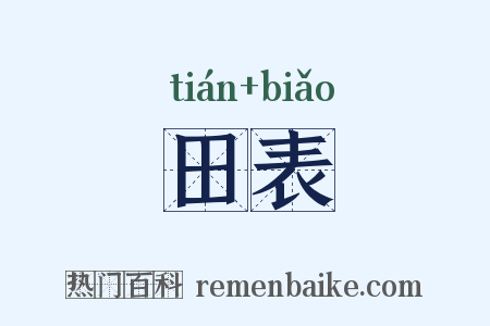 田表是什么意思的图片